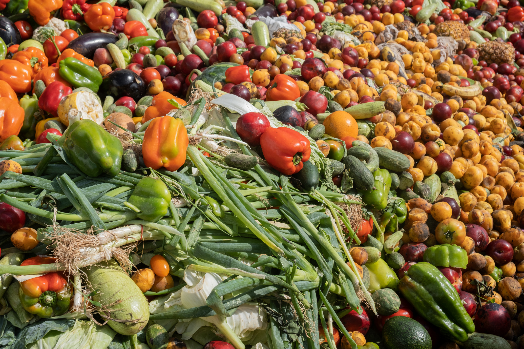 Comida en la basura desperdiciada