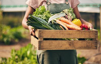 Persona sosteniendo una cesta con verduras de proximidad