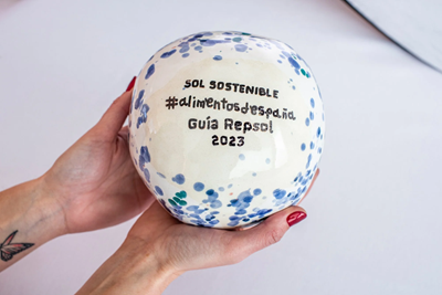 Sol Repsol sostenible